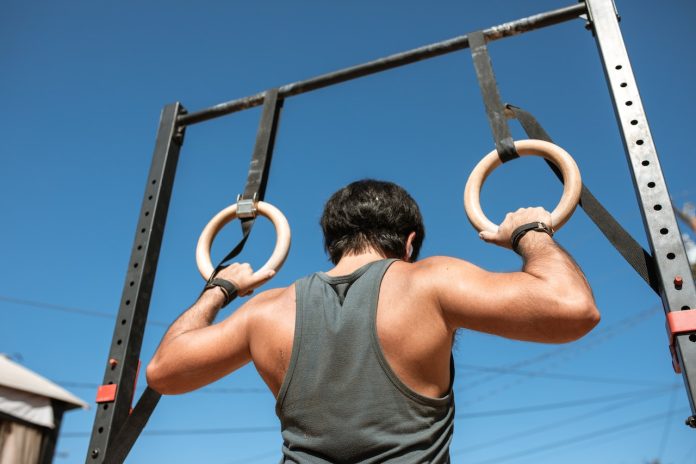 Les exercices ultimes pour améliorer les muscles du dos